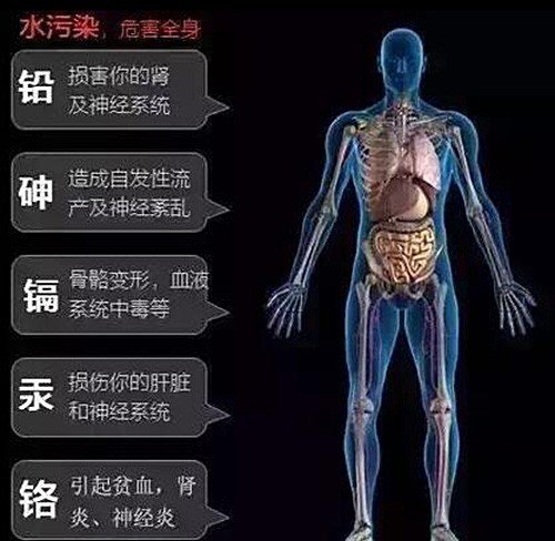 水污染對(duì)人體健康的影響與危害！